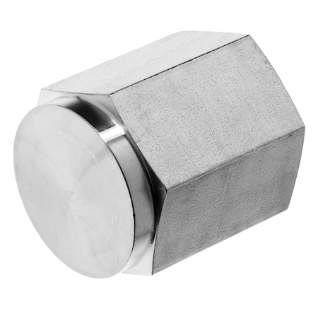 Pipe Fitting - Galvanized Steel - Instrumentation - Cap - 1/4 FNPT